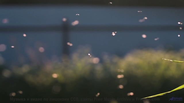 Почему мудрецы медитируют под эти звуки Истина здесь! - Ive Got It Made -- Derek Clegg -- Stop the L