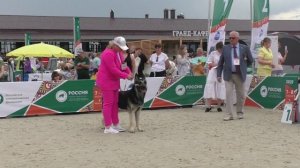 Моншер Вирсаль Гвидон