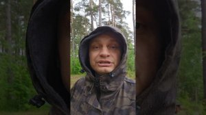 Отдых на Финском заливе