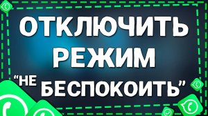 Как отключить режим не беспокоить в Ватсап на Айфоне в 2025 году