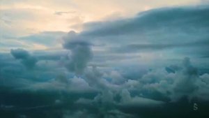 Виноградная косточка