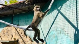 МЫ ПРОСТО УХАХАТАЛИСЬ! Ребятишки по нам очень соскучились и устроили шоу