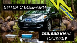 Ремонт Nissan Leaf с пробегом 150.000км. Бобры погрызли топляк? Что с батареей?