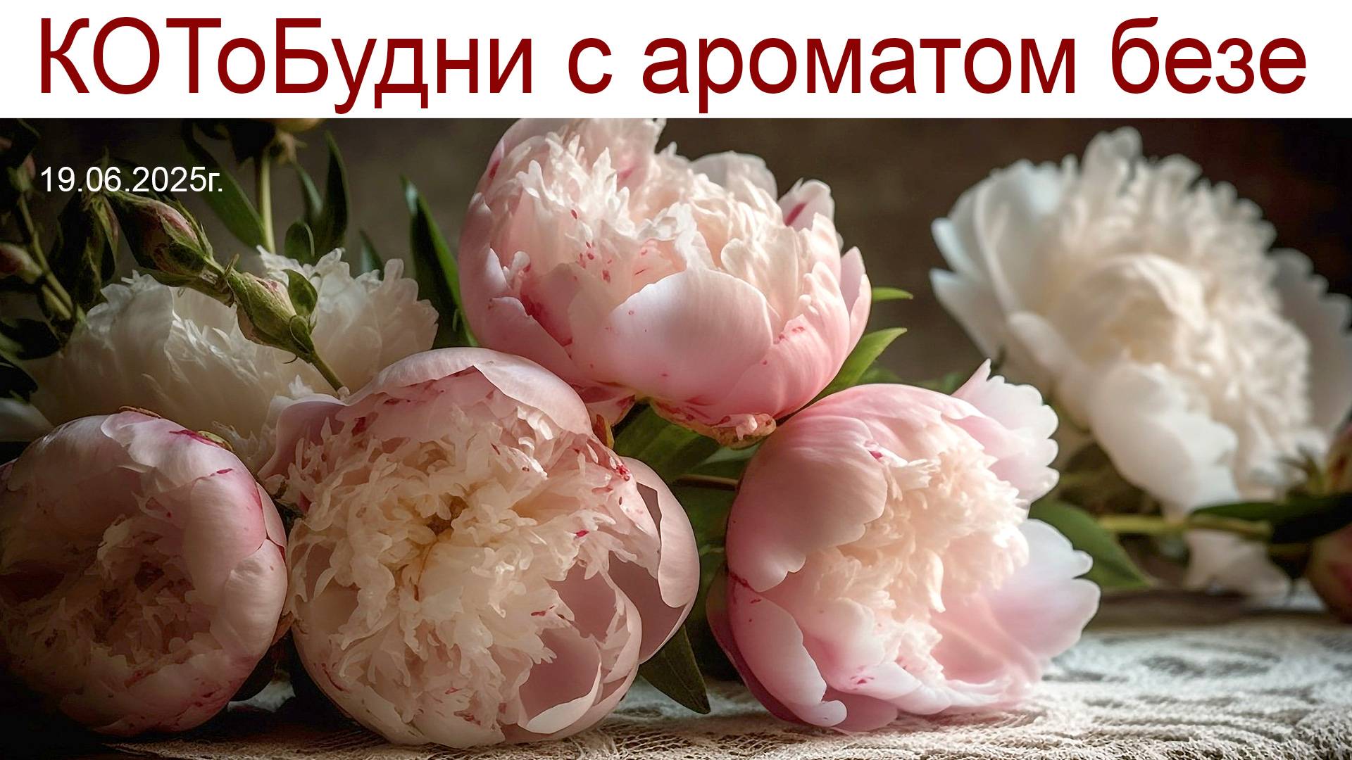 КОТоБудни с ароматом безе, Дворец в усадьбе Кусково и холодный июнь 2025 года