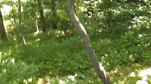 DSCN8064Железноводск июнь 2025 Аллея любви ,обзорная вокруг горы Железной.