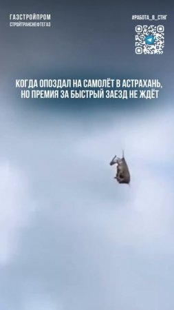 Работа в СТНГ