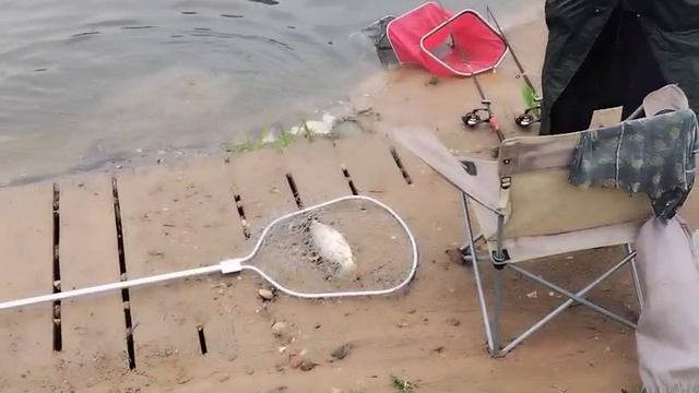На червя