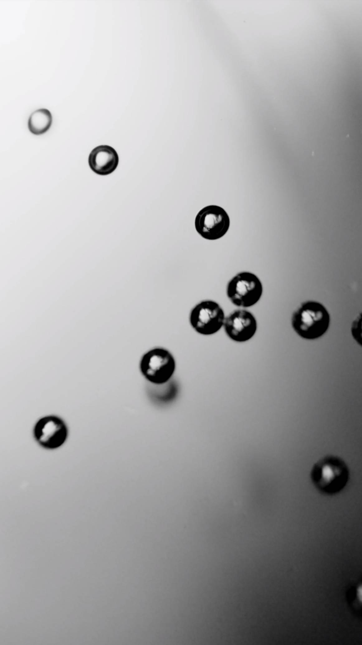 Идеален для макро! Canon EF-S 60mm f2.8 Macro USM