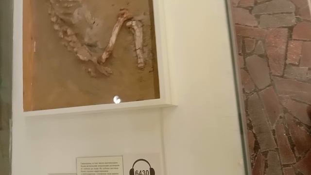 Палеонтологический музей