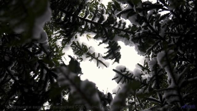 Ощущение полёта не покидает всё время просмотра - New Rights -- Ketsa -- Abundance