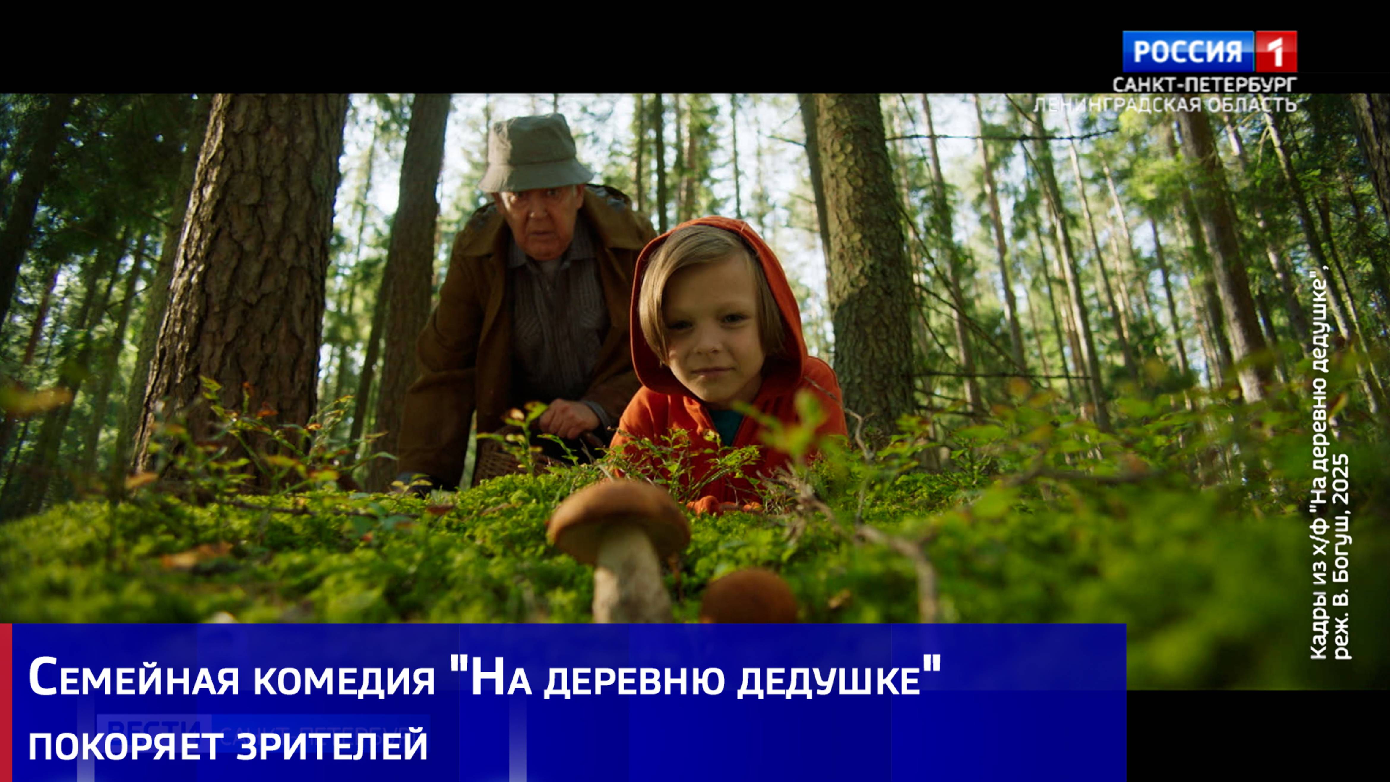 Cемейная комедия "На деревню дедушке" покоряет зрителей
