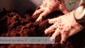 Кокосовый блок Advanced XL 9л