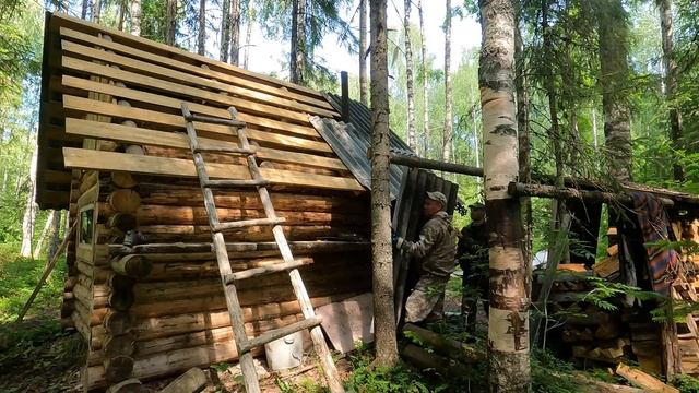 Перекрываем крышу на лесной избушке | Ремонт своими руками и неожиданные приключения.