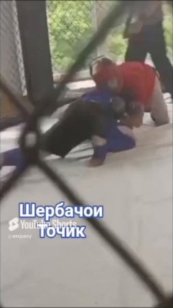 борьба 🤼🤼🤼