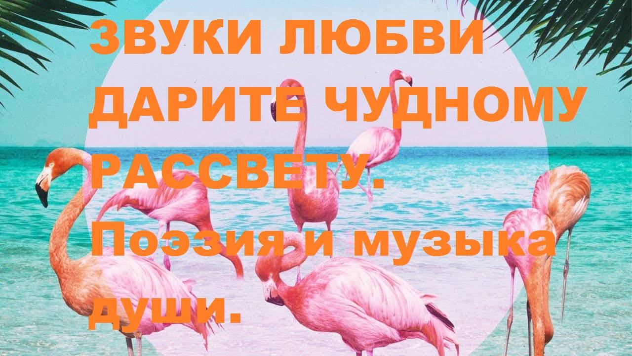 ЗВУКИ  ЛЮБВИ  ДАРИТЕ  ЧУДНОМУ  РАССВЕТУ. Автор стихотворения А. Соколов. Автор ролика В. Голикова.