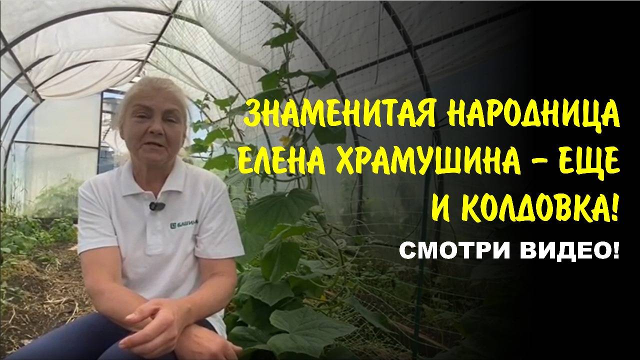Секрет здоровья, красоты, долголетия, который знают только избранные