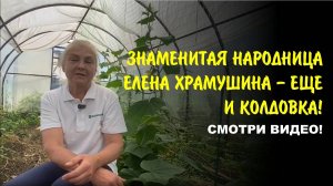 Секрет здоровья, красоты, долголетия, который знают только избранные