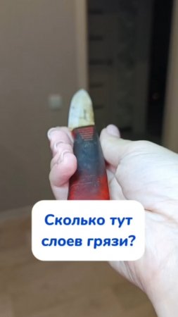 Давно по грибы ходили?