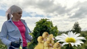 НОВЫЕ ЖИЛЬЦЫ В ХОЗЯЙСТВЕ/БОРЬБА С СОРНЯКАМИ/ЛЕГКИЙ СУП/ГОСТИ НА ТРОИЦУ/"СУХОЙ ПРУД"