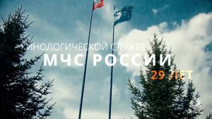 Кинологической службе МЧС России 29 лет