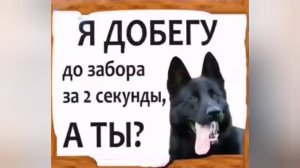 Прикольные надписи смешные до слёз 😂