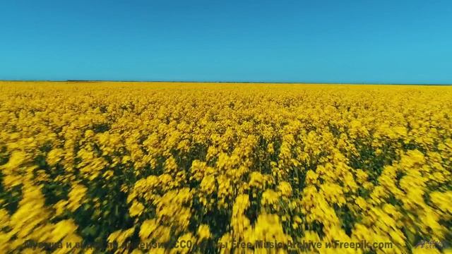 Почему военные используют эту музыку Секрет раскрыт! - PhotobiomodulationStates of Coincidence -- 10