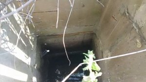 что нашли на участке?навес упал, как разобрать навес, заплыв в дачном бассейне,как опыляют пчелы