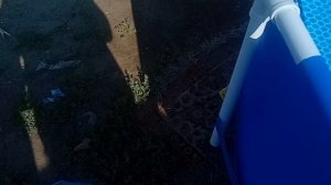 летняя суета/ спит-пора работать/ жара не жара, а банки сами себя не закатают