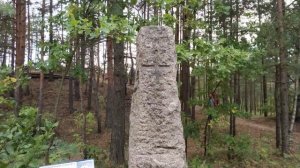 Сестрорецкий рубеж часть 1