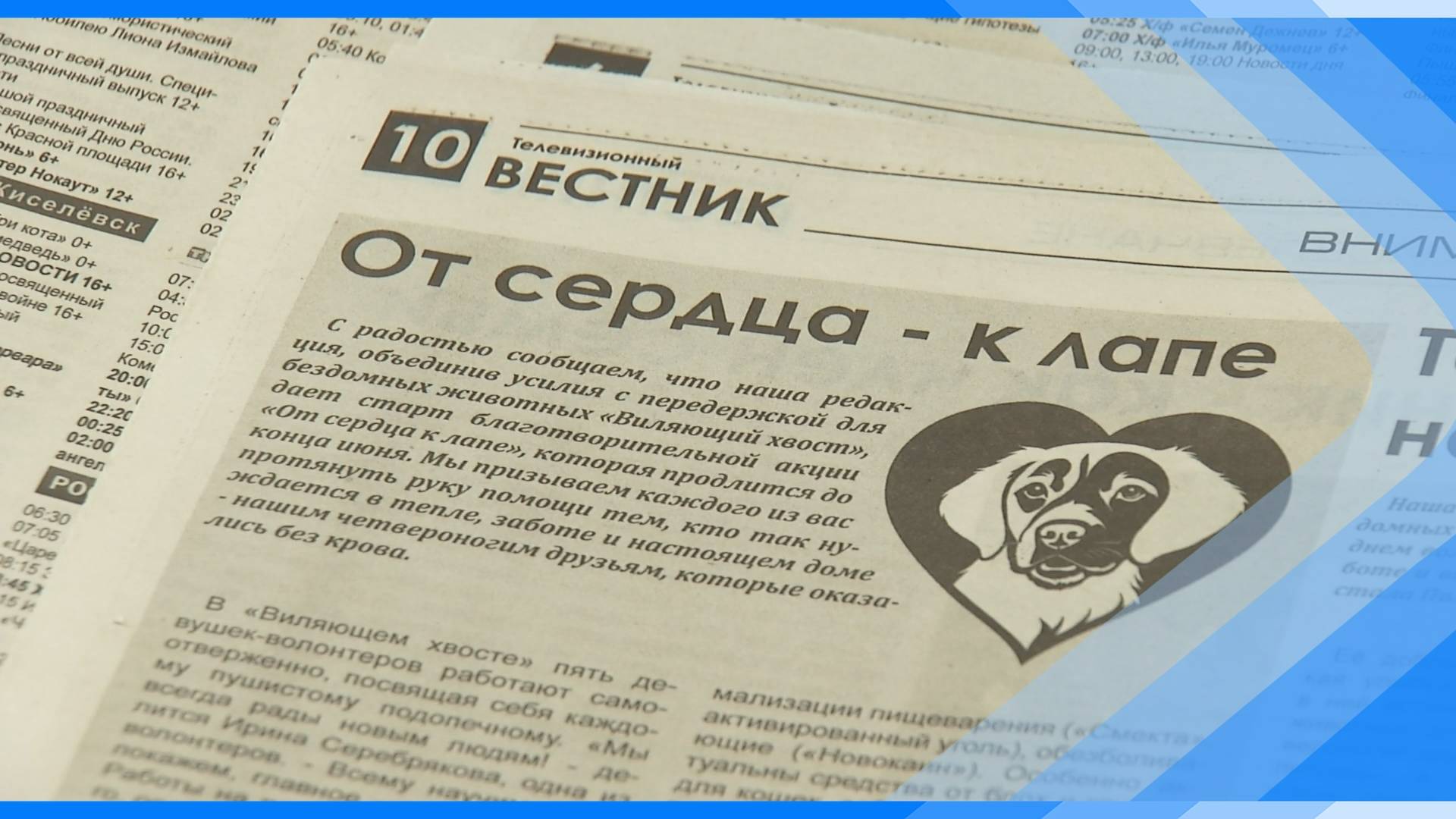 20.06.2025   Присоединяйтесь к акции «От сердца к лапе»