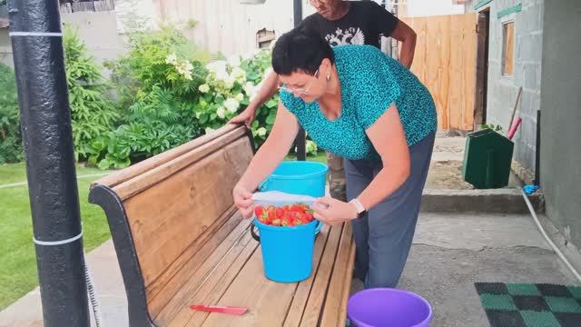 19 июня 2025 г.2 ЧАСТЬ 
ОБЫЧНАЯ СЕЛЬСКАЯ ЖИЗНЬ🏡🐓