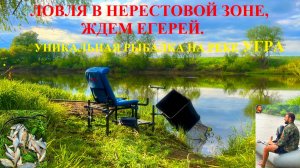 ЛОВЛЯ В НЕРЕСТОВОЙ ЗОНЕ, ЖДЕМ ЕГЕРЕЙ. УНИКАЛЬНАЯ РЫБАЛКА НА РЕКЕ УГРА.