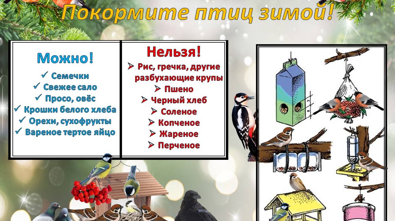 Экологическа акция "Птичья столовая"