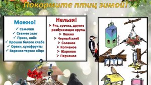 Экологическа акция "Птичья столовая"