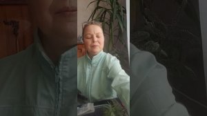 Черенкование розмарина для размножения | Ирина Родина