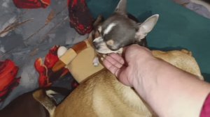 Доброго всем вечера и самой спокойной ночи.