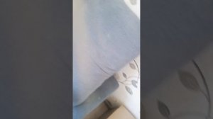 1000030318.mp4