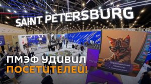 Роботы, купюры БРИКС и лабубу-политики: тематические стенды ПМЭФ