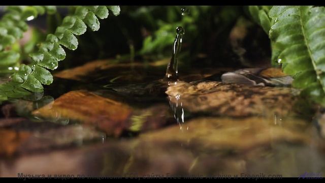 Музыка наполняет сердце миром при каждом ритме - All For Nothing (Instrumental) -- Anthem of Rain --