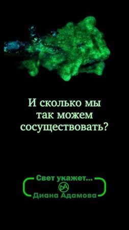 «Свет укажет» Д. Адамова #чтопочитать #букток #youngadult #городскоефэнтези #цитаты #стекло #steklo