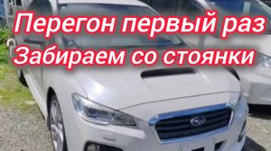 Перегон. Первый раз. Забираем со стоянки Субару Levorg