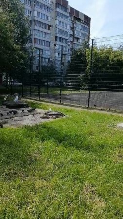 Немного жаль, что напоказ