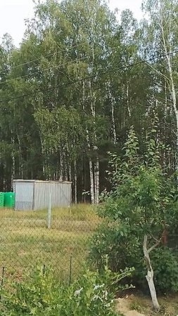 20 июня 2025 года.