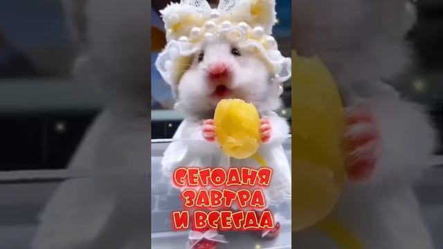 Приятного аппетита!