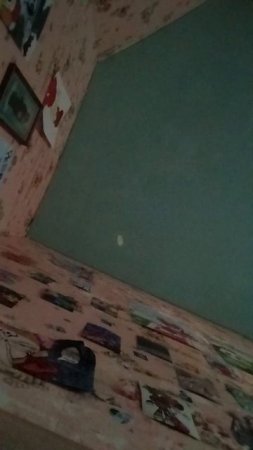 гача