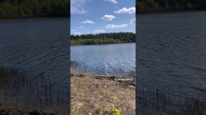 Первая рыбалка и рыба без головы.