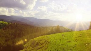 Alex Van Sanders, Alexara - Dreamers