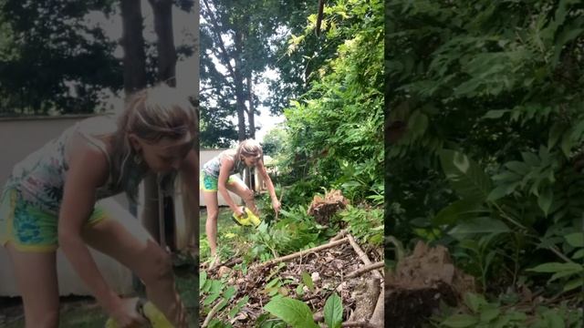 Cleaning my garden Jungle. Summer project.