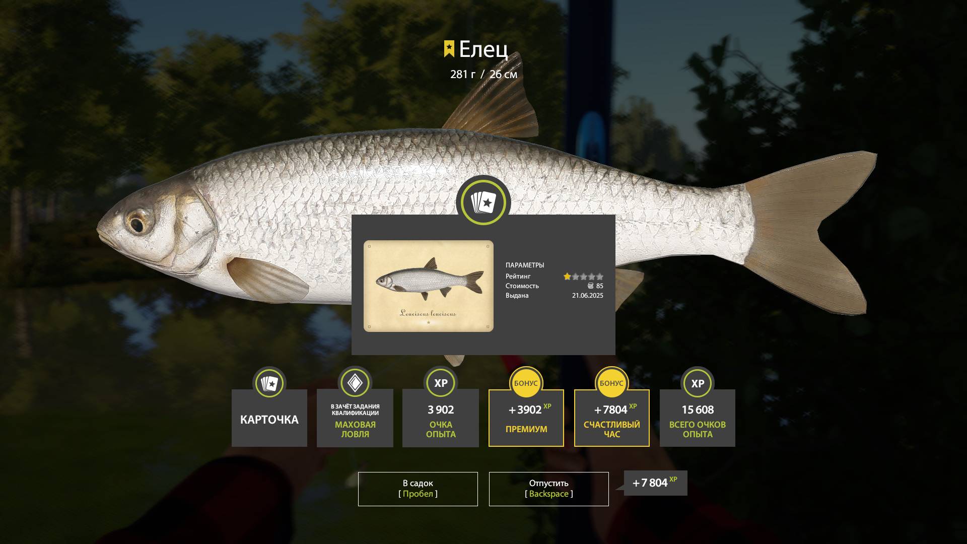 ДВА ТРОФЕЯ ЕЛЬЦА!!!СЕВЕРСКИЙ ДОНЕЦ - РУССКАЯ РЫБАЛКА 4