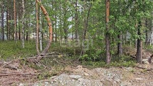 7659090 Сурмятино